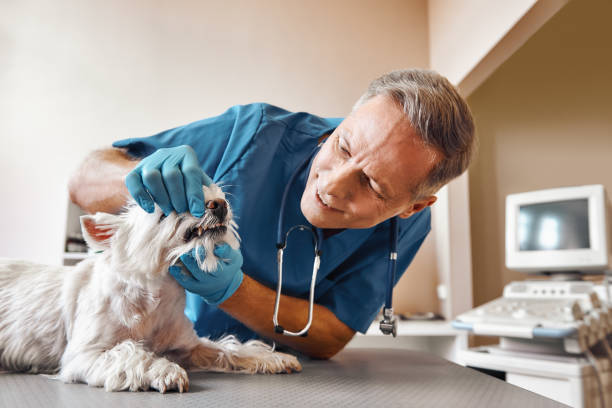 Best Mobile Emergency Dentist in Kennedale, TX
